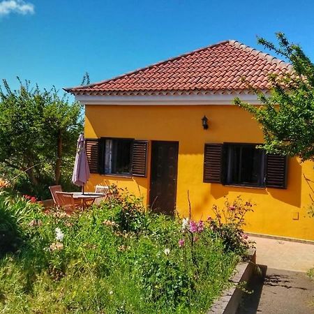 Casa Fatima Valle Gran Rey Ngoại thất bức ảnh